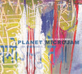 David Fiuczynski : Planet Microjam (CD, Album)