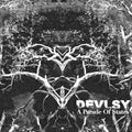 Devlsy : A Parade Of States (CD, Album, RE)