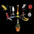 Fiction (10) : The Big Other (CD, Album)