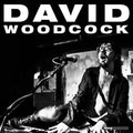 David Woodcock (3) : David Woodcock (CD, Album)