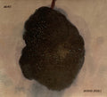 Holmes (9) : Burning Bridges (CD, Album)