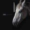 Sumia : Until We Shine Again (CD, Album)