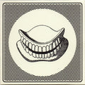 Hookworms : The Hum (CD, Album)