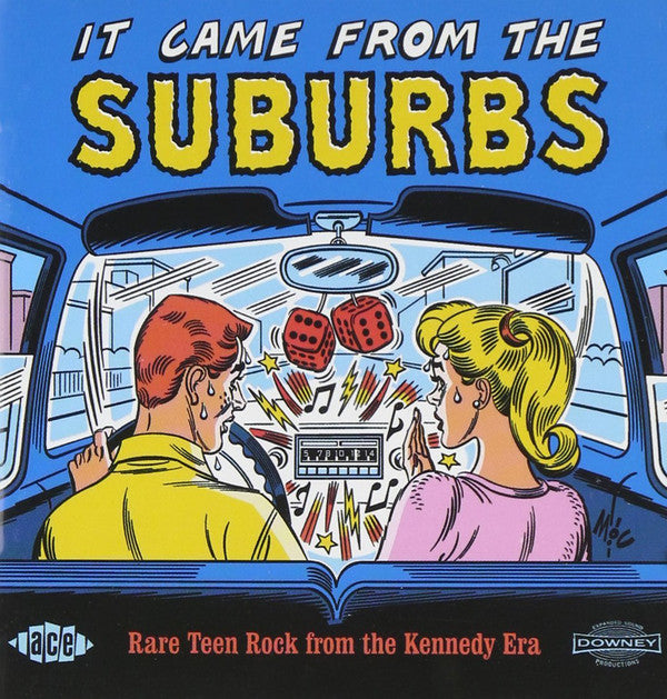 Various : It Came From The Suburbs - Rare Teen Rock From The Kennedy Era (CD, Comp)