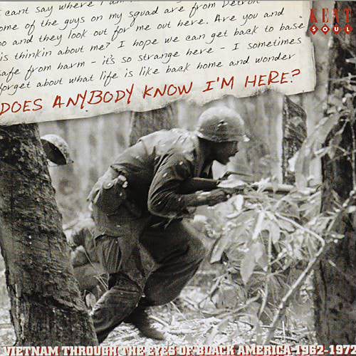 Various : Does Anybody Know I'm Here? (Vietnam Through The Eyes Of Black America 1962-1972) (CD, Comp)