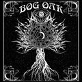 Bog Oak : A Treatise On Resurrection And The Afterlife (12", EP, Ltd)