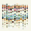 ST 37 : I'm Not Good (CD, Album)