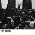 Sky Walking : Sky Walking (CD, Album)