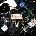Young Governor : Ripe 4 Luv (CD, MiniAlbum)