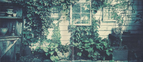 Ron Hawkins And The Do Good Assassins : Garden Songs (CD, Album)