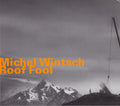 Michel Wintsch : Roof Fool (CD, Album)