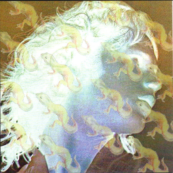 Various Featuring Jim Morrison : Electronic Proclamations Of The Wild Child (CD, Album, Comp)