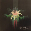 Folly And The Hunter : Awake (CD, Album)