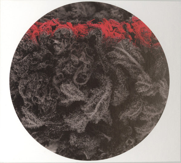 Adrian Michna : Thousand Thursday (CD, Album)