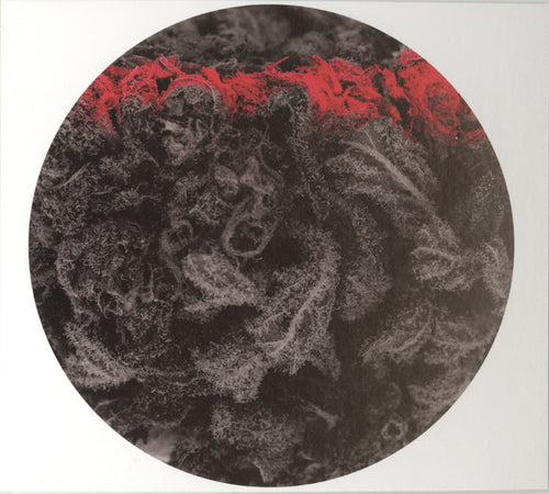 Adrian Michna : Thousand Thursday (CD, Album)