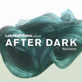 Bill Brewster : After Dark (Nocturne) (2x12", Comp, Ltd)