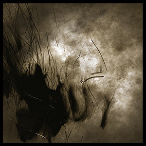 Weird Fate : Cycle Of Naught (CD, Album)