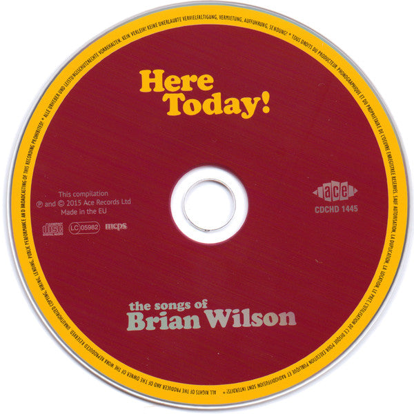 Brian Wilson : Here Today! (The Songs Of Brian Wilson) (CD, Comp)