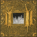 Samantha Crain : Under Branch & Thorn & Tree (CD, Album)