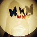 Jessie Jones (5) : Jessie Jones (CD, Album)
