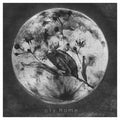 Oly. : Home (CD, Album)