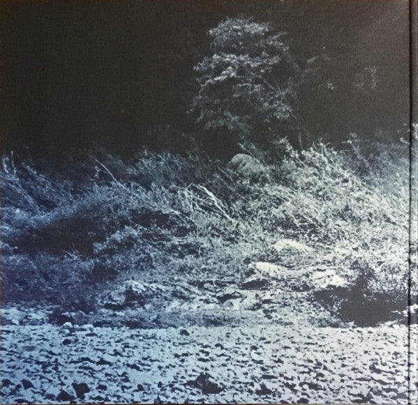 Foals : What Went Down (LP, Album, 180)