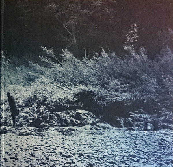 Foals : What Went Down (LP, Album, 180)