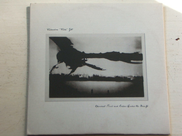 Takaakira Goto : Classical Punk And Echoes Under The Beauty (CDr, Album)