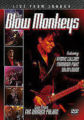 The Blow Monkeys : Live From London (DVD)