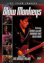 The Blow Monkeys : Live From London (DVD)