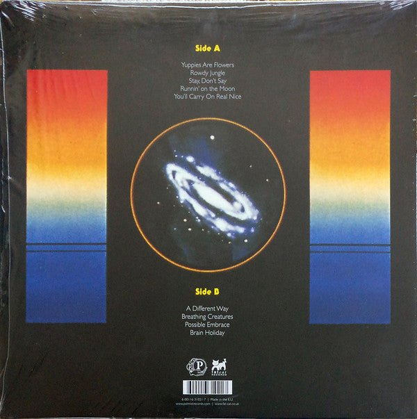 Dead Gaze : Brain Holiday (LP)