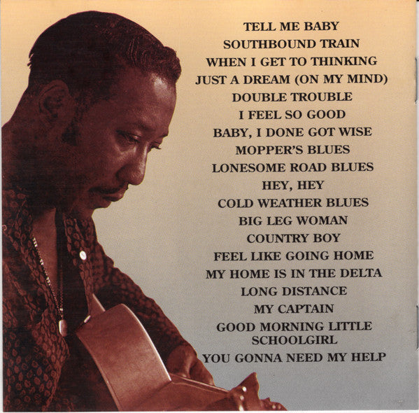 Muddy Waters : Muddy Waters Sings "Big Bill"/Folk Singer (CD, Comp, RE, Lyn)