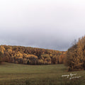 Evening Hymns : Quiet Energies (LP, Album)