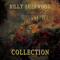 Billy Sherwood : Collection (CD, Comp, RM)