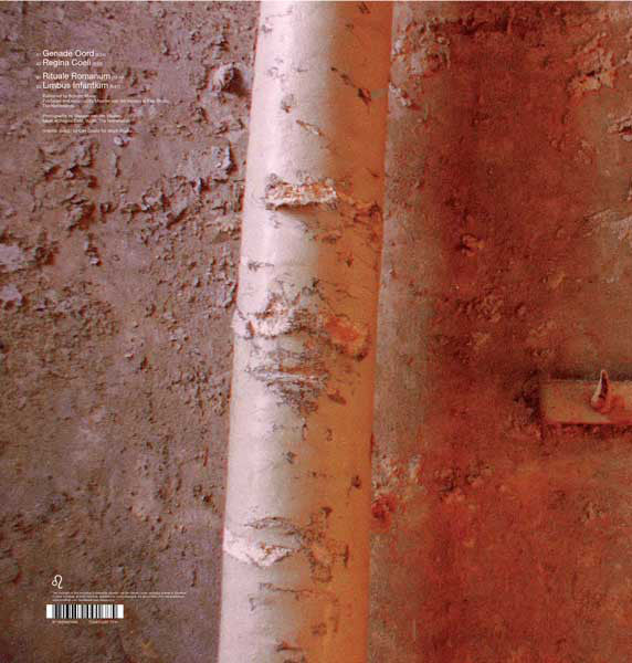 Maarten van der Vleuten : High Intolerance Towards Low Energies (LP, Album)