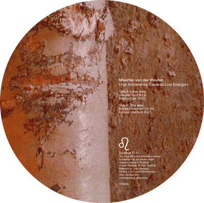 Maarten van der Vleuten : High Intolerance Towards Low Energies (LP, Album)