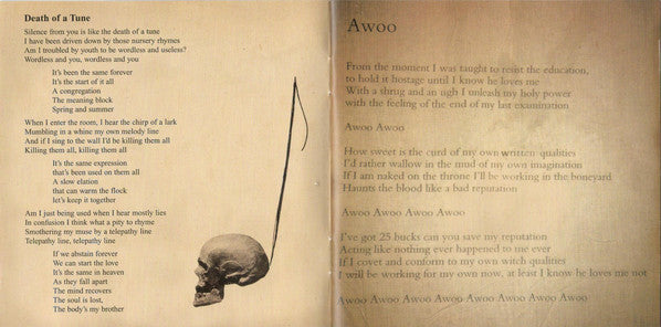 The Hidden Cameras : Awoo (CD, Album)