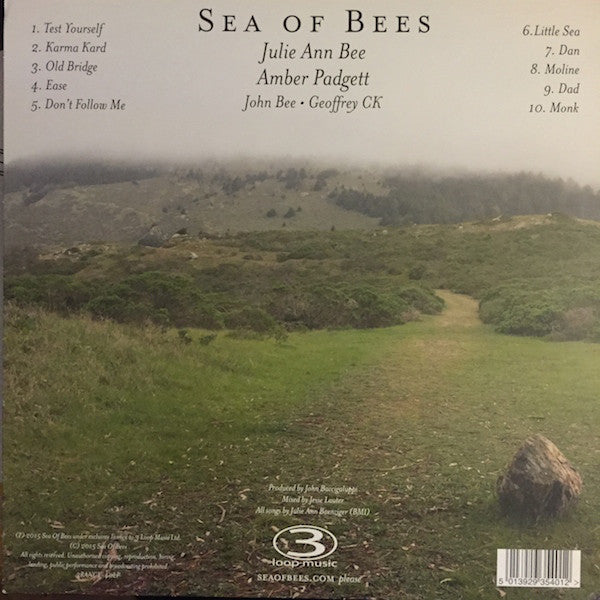 Sea Of Bees : Build A Boat To The Sun (LP)