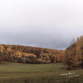 Evening Hymns : Quiet Energies (CD, Album)