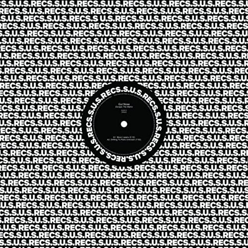 Gut Nose : Escape The Matrix  (12", EP)