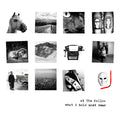 At The Hollow : What I Hold Most Dear (CD, Album)