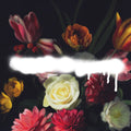 Grande Roses : Built On Schemes (CD, Album)