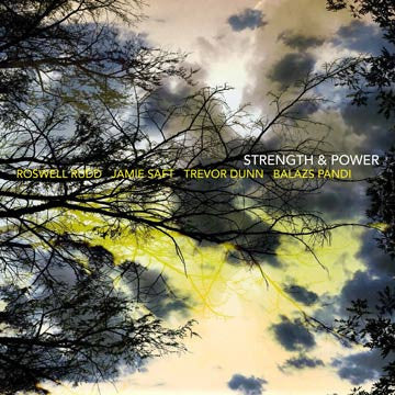 Roswell Rudd, Jamie Saft, Trevor Dunn, Balázs Pándi : Strength & Power (CD, Album)