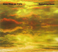 New Zion Trio W. Cyro Baptista : Sunshine Seas (CD, Album)