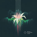 Folly And The Hunter : Awake (LP, Album)