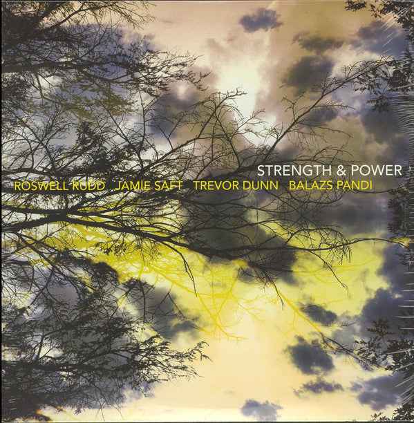Roswell Rudd, Jamie Saft, Trevor Dunn, Balázs Pándi : Strength & Power (2xLP, Album)