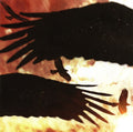 Mr. Pollack : Black Hawk (CD, Album)