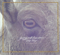 Young And Heartless : Stay Away (CD)