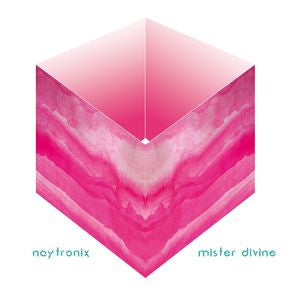 Naytronix : Mister Divine (CD, Album)