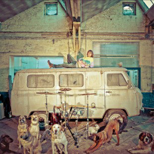 Usé : Chien D'La Casse (LP, Album)